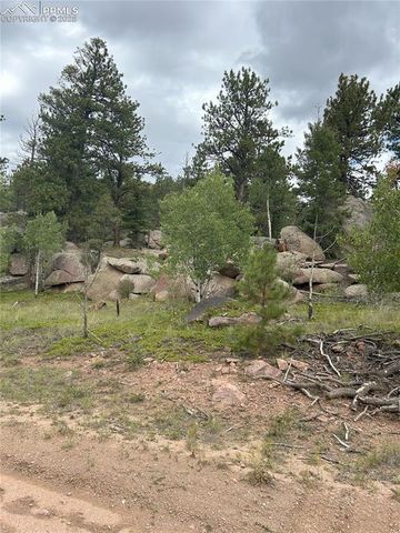 155 County Road 403, Florissant, CO 80816