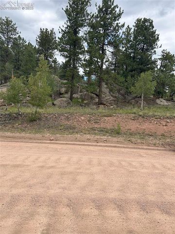 155 County Road 403, Florissant, CO 80816