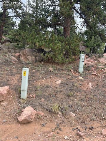 155 County Road 403, Florissant, CO 80816