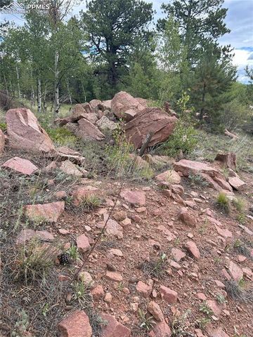 155 County Road 403, Florissant, CO 80816