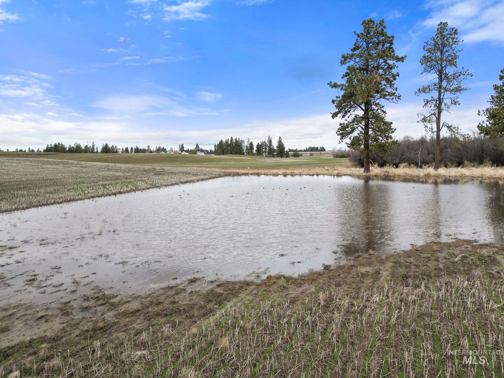 2326 Reubens Road, Reubens, ID 83548 photo 26