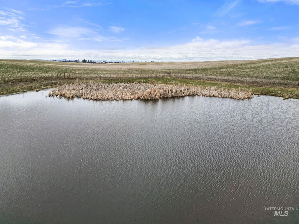 2326 Reubens Road, Reubens, ID 83548 photo 33