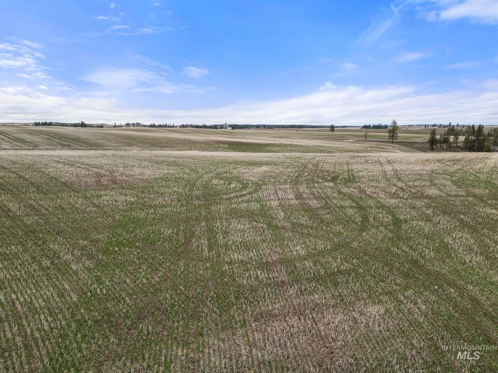 2326 Reubens Road, Reubens, ID 83548 photo 4