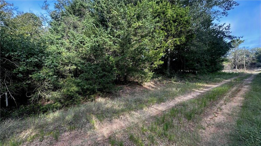 TBD Overhill Circle, Hilltop Lakes, TX 77871 — photo 2