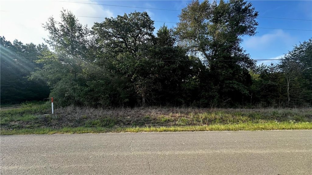 TBD Overhill Circle, Hilltop Lakes, TX 77871 — photo 3