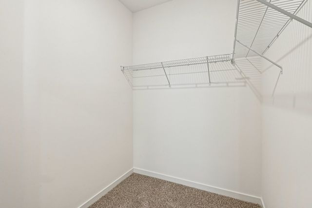 1057 Williamsburg Street, Pingree Grove, IL 60140