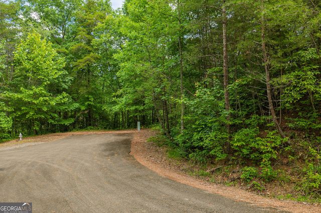 LOT 21 Aspen Avenue, Ellijay, GA 30540