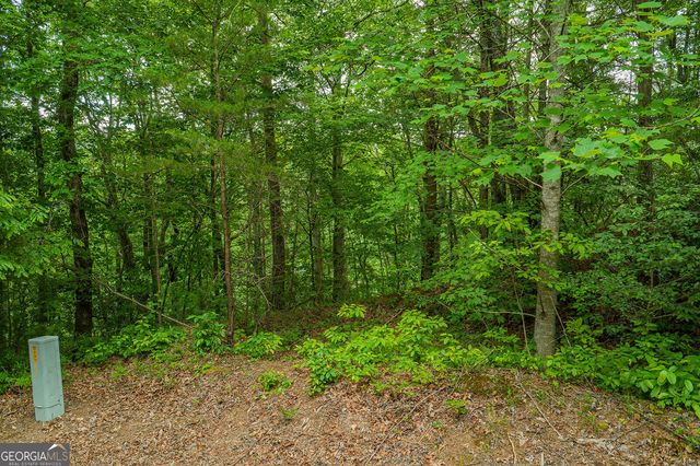 LOT 21 Aspen Avenue, Ellijay, GA 30540