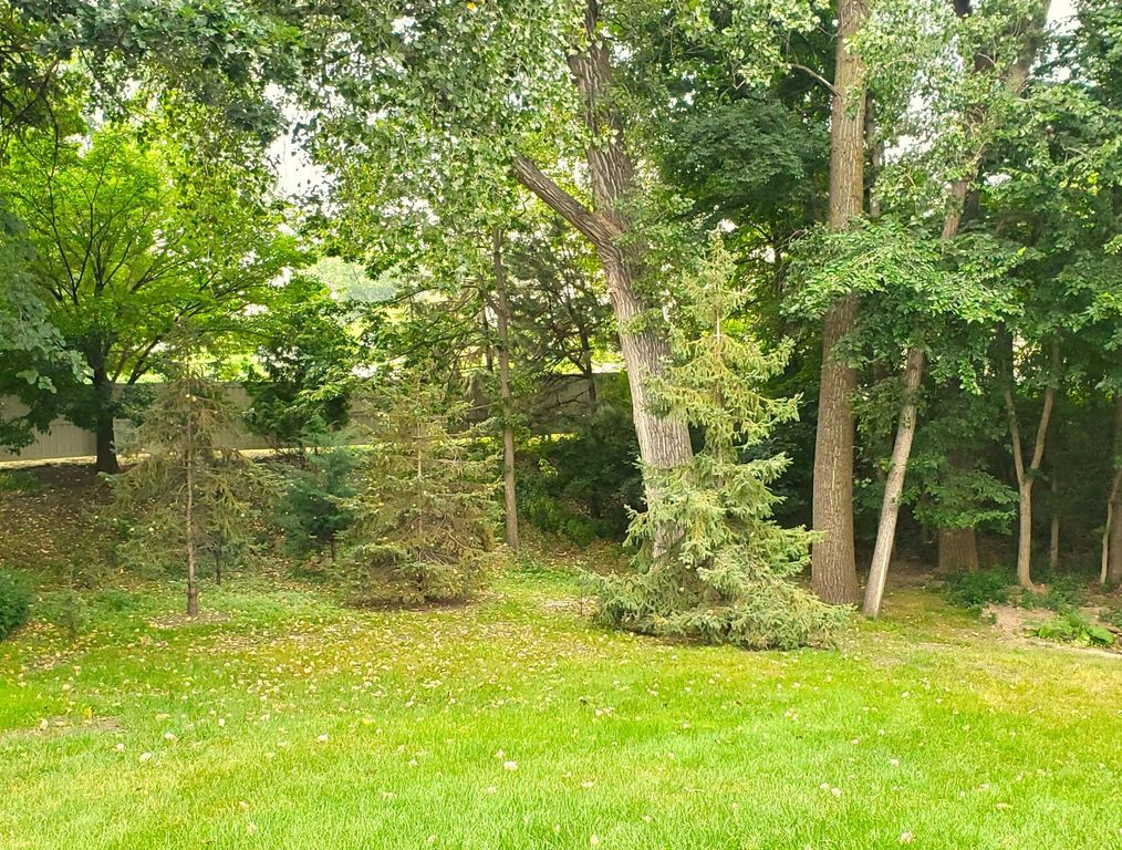 4504 Laramie Trail, Minnetonka, MN 55345 — photo 3