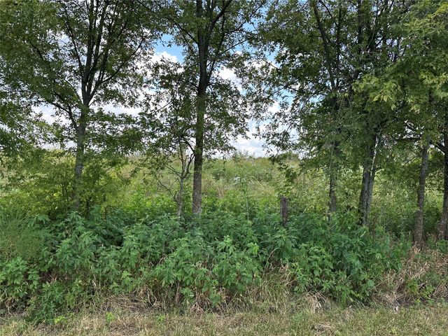 Lot 6 Rutledge Road, Whitewright, TX 75491