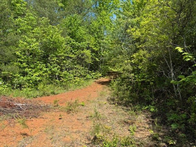 Lot 11 Paradise, Marble, NC 28905