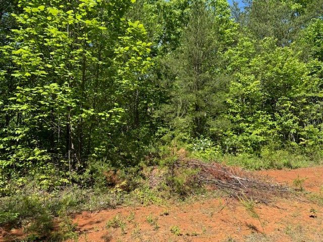 Lot 11 Paradise, Marble, NC 28905