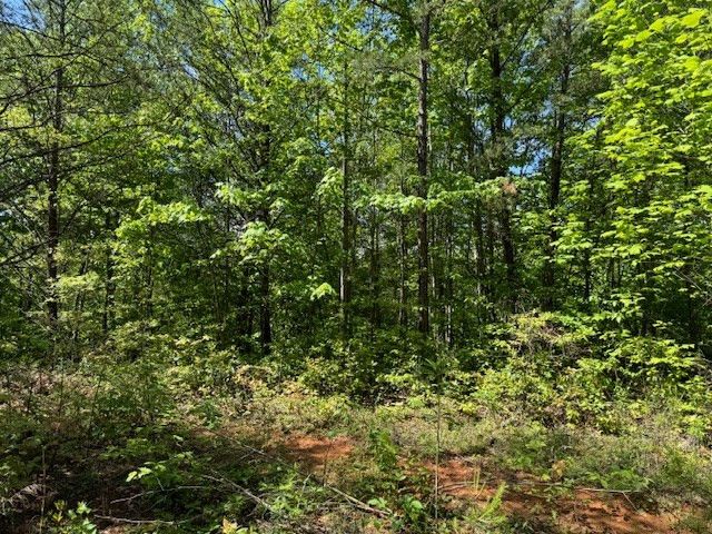 Lot 11 Paradise, Marble, NC 28905