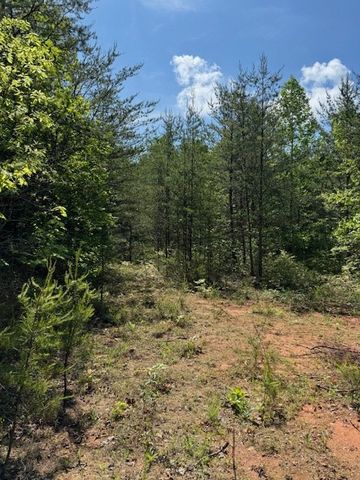 Lot 11 Paradise, Marble, NC 28905