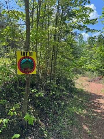 Lot 11 Paradise, Marble, NC 28905