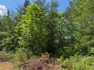 Lot 11 Paradise, Marble, NC 28905