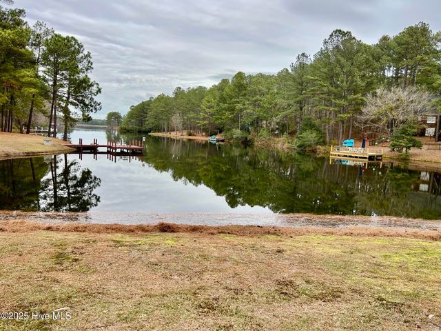 30081 W Lake Drive, Wagram, NC 28396