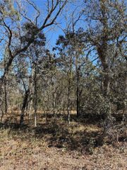 TBA SE 134TH TERRACE TERRACE, Dunnellon, FL 34431