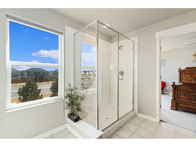 4420 Lyceum Ct, Timnath, CO 80547