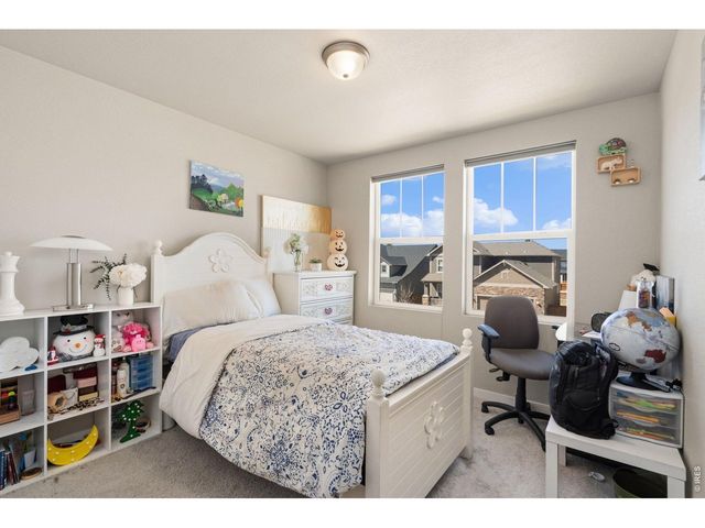 4420 Lyceum Ct, Timnath, CO 80547