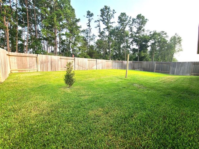 40563 Birch Shadow Court, Magnolia, TX 77354