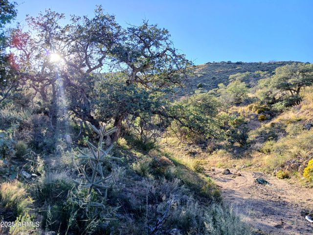 11699 N Last Chance Road, Elfrida, AZ 85610