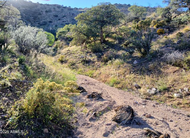 11699 N Last Chance Road, Elfrida, AZ 85610