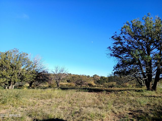 11699 N Last Chance Road, Elfrida, AZ 85610