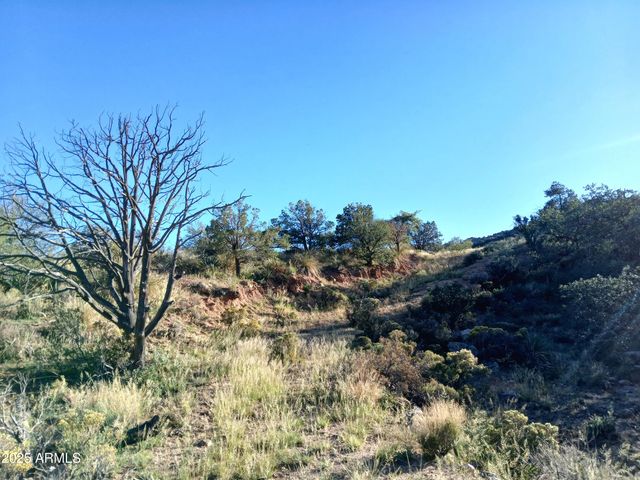 11699 N Last Chance Road, Elfrida, AZ 85610