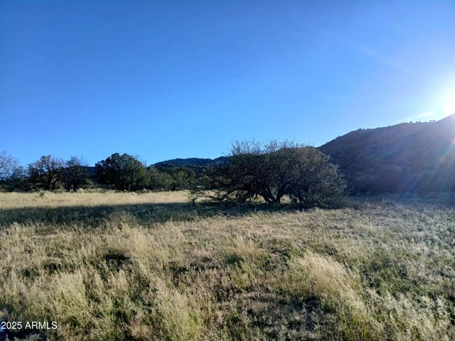 11699 N Last Chance Road, Elfrida, AZ 85610