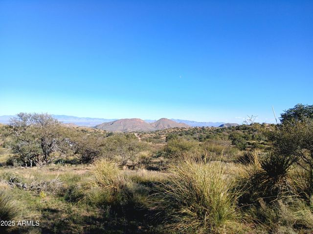 11699 N Last Chance Road, Elfrida, AZ 85610