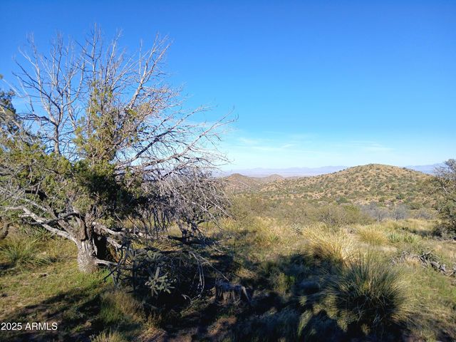 11699 N Last Chance Road, Elfrida, AZ 85610