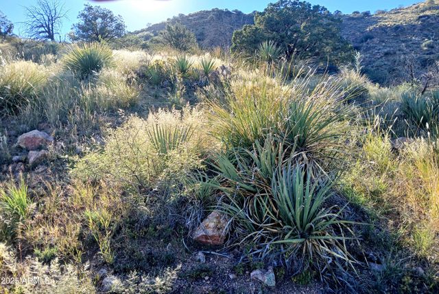 11699 N Last Chance Road, Elfrida, AZ 85610