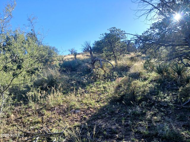 11699 N Last Chance Road, Elfrida, AZ 85610