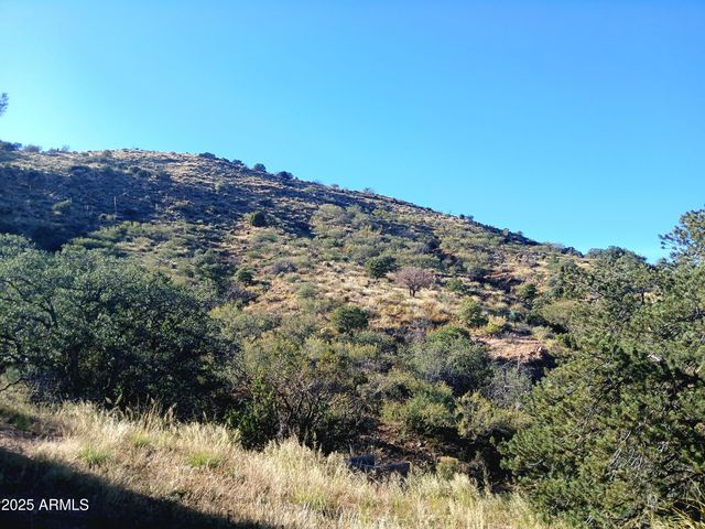 11699 N Last Chance Road, Elfrida, AZ 85610