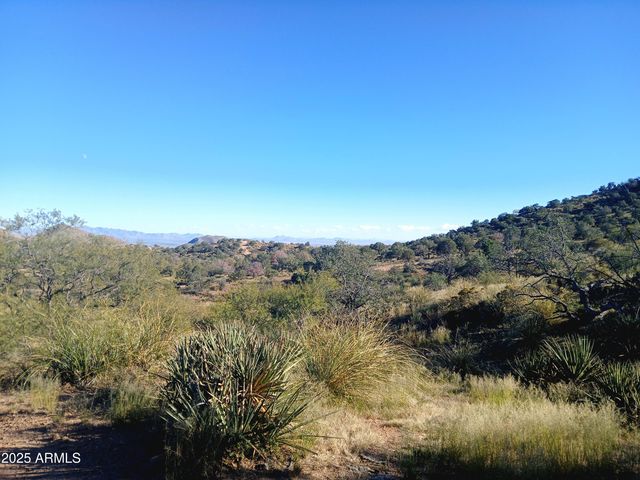 11699 N Last Chance Road, Elfrida, AZ 85610