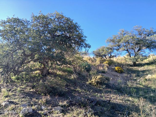 11699 N Last Chance Road, Elfrida, AZ 85610