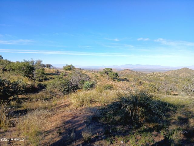 11699 N Last Chance Road, Elfrida, AZ 85610