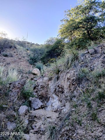 11699 N Last Chance Road, Elfrida, AZ 85610