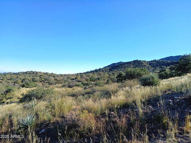 11699 N Last Chance Road, Elfrida, AZ 85610