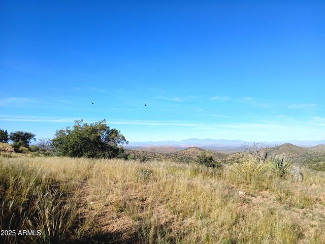 11699 N Last Chance Road, Elfrida, AZ 85610