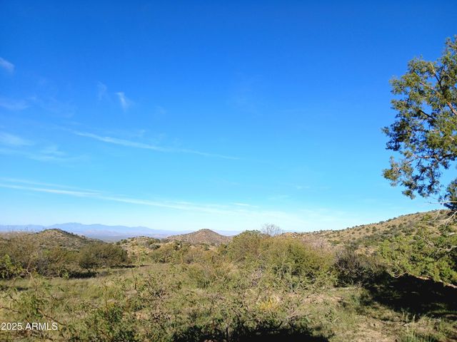 11699 N Last Chance Road, Elfrida, AZ 85610