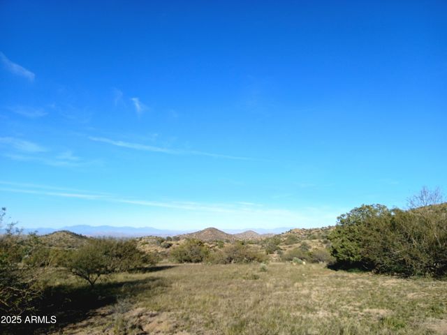 11699 N Last Chance Road, Elfrida, AZ 85610