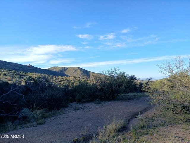 11699 N Last Chance Road, Elfrida, AZ 85610