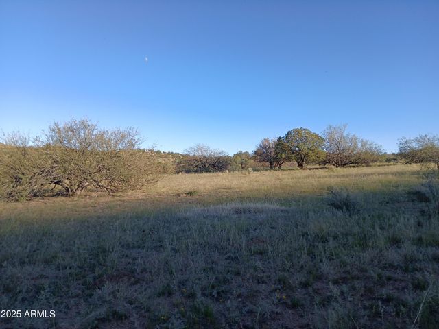 11699 N Last Chance Road, Elfrida, AZ 85610