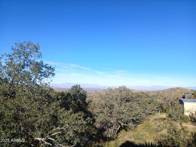 11699 N Last Chance Road, Elfrida, AZ 85610