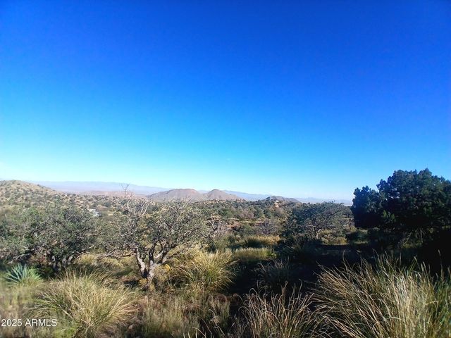 11699 N Last Chance Road, Elfrida, AZ 85610