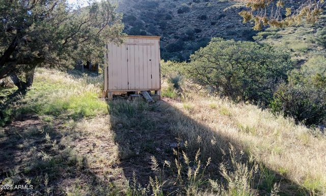 11699 N Last Chance Road, Elfrida, AZ 85610