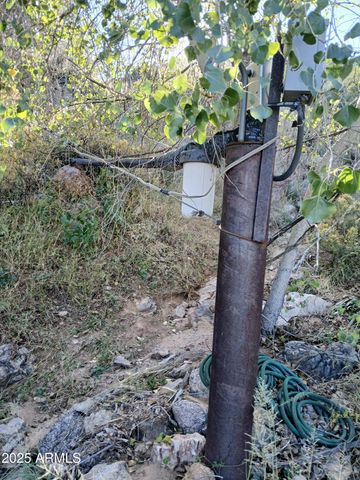 11699 N Last Chance Road, Elfrida, AZ 85610