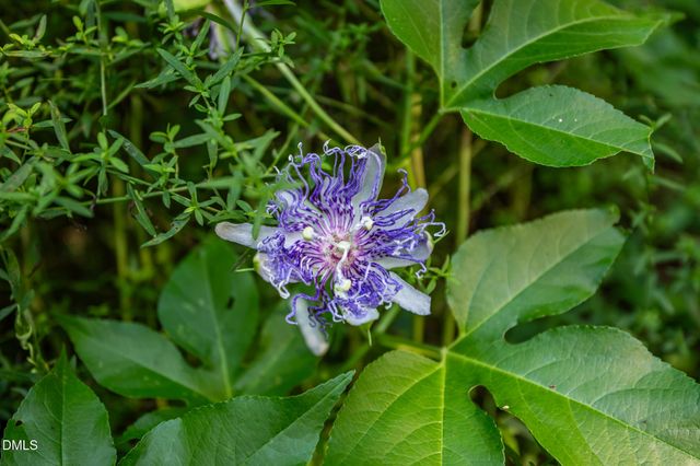126 Bynum Road, Pittsboro, NC 27312